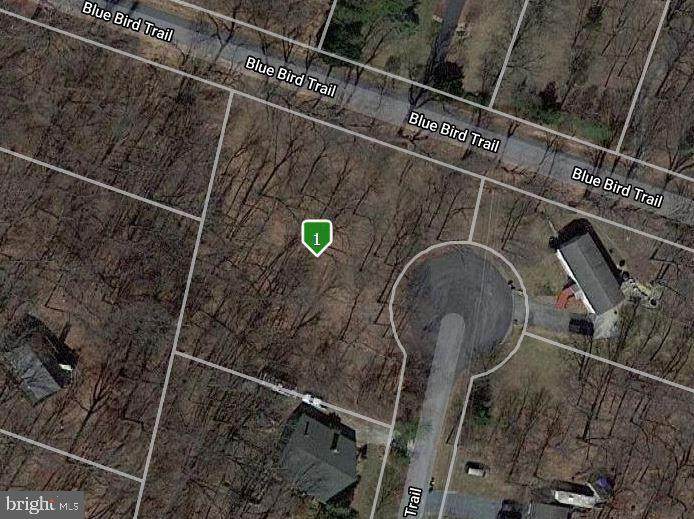 11 Fox Trail - Photo 1