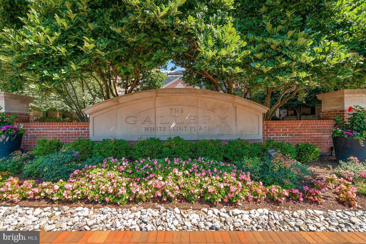11710 Old Georgetown Road - Photo 1