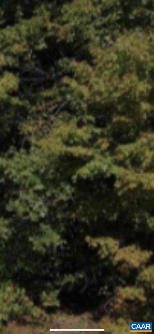 0 Deep Creek Rd Road - Photo 1