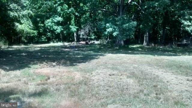 604 Potomac Street - Photo 1