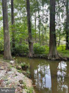 6701 Cranstons Mill Pond Road - Photo 1