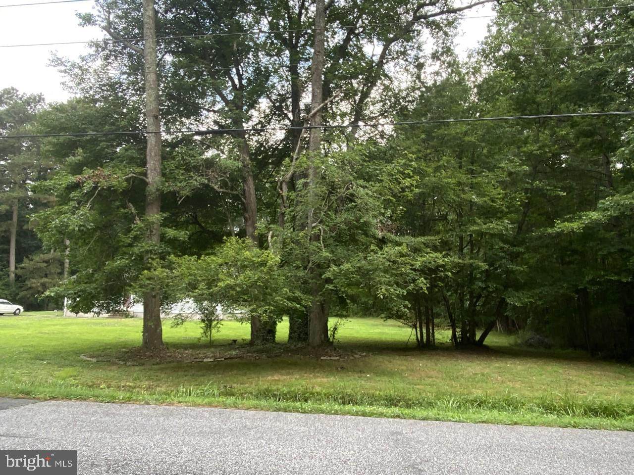 1.25 AC Old Westover Marion Road - Photo 1