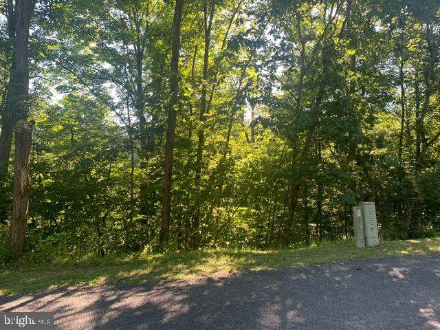 Vickie Way/Richmon Rd - Photo 1