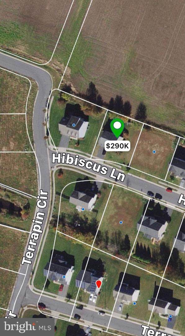 213 Hibiscus Lane - Photo 1