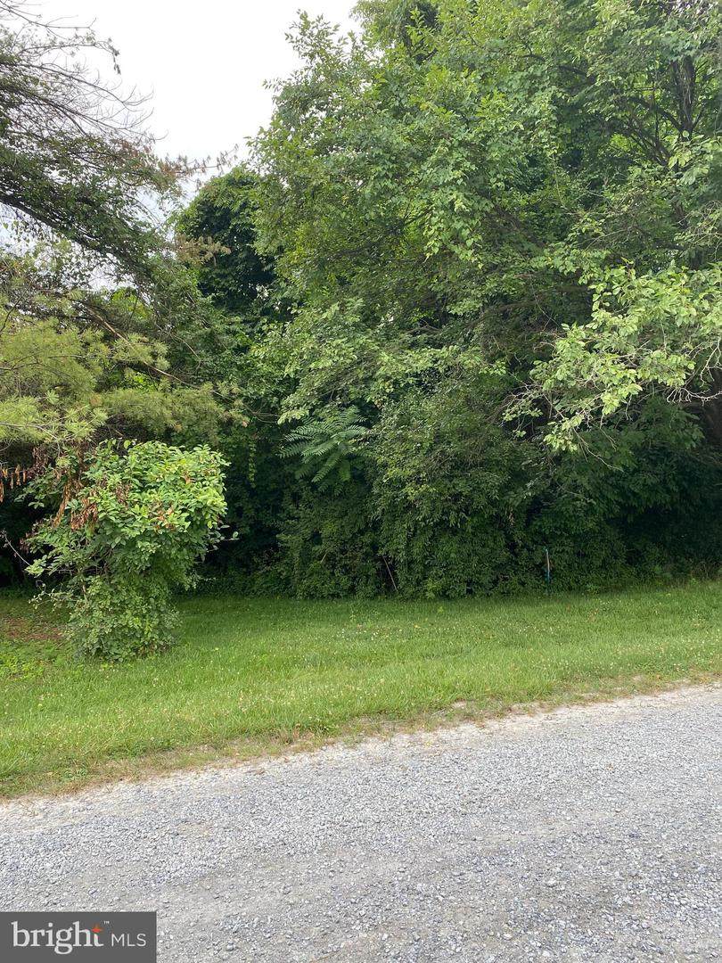 Lot 19 Burch Lane - Photo 1
