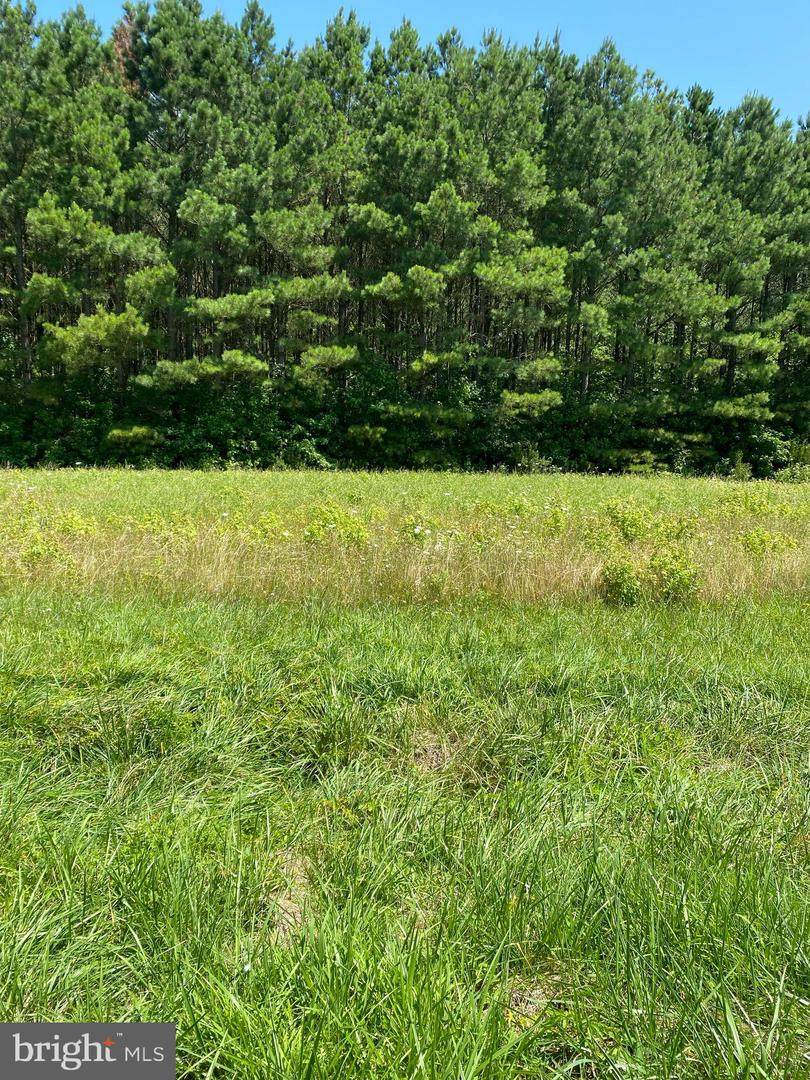 0 Nanticoke 349 Road - Photo 1