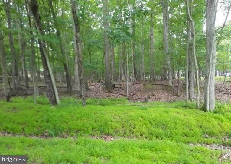 011, 012 Woodhaven Drive - Photo 1