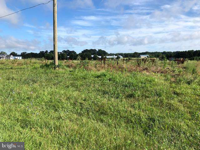 Lot 2 Burnite Mill Rd - Photo 1