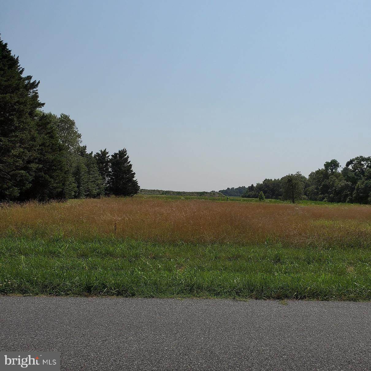 0 Johnson Road Aka Road 447 Lot 8 - Photo 1
