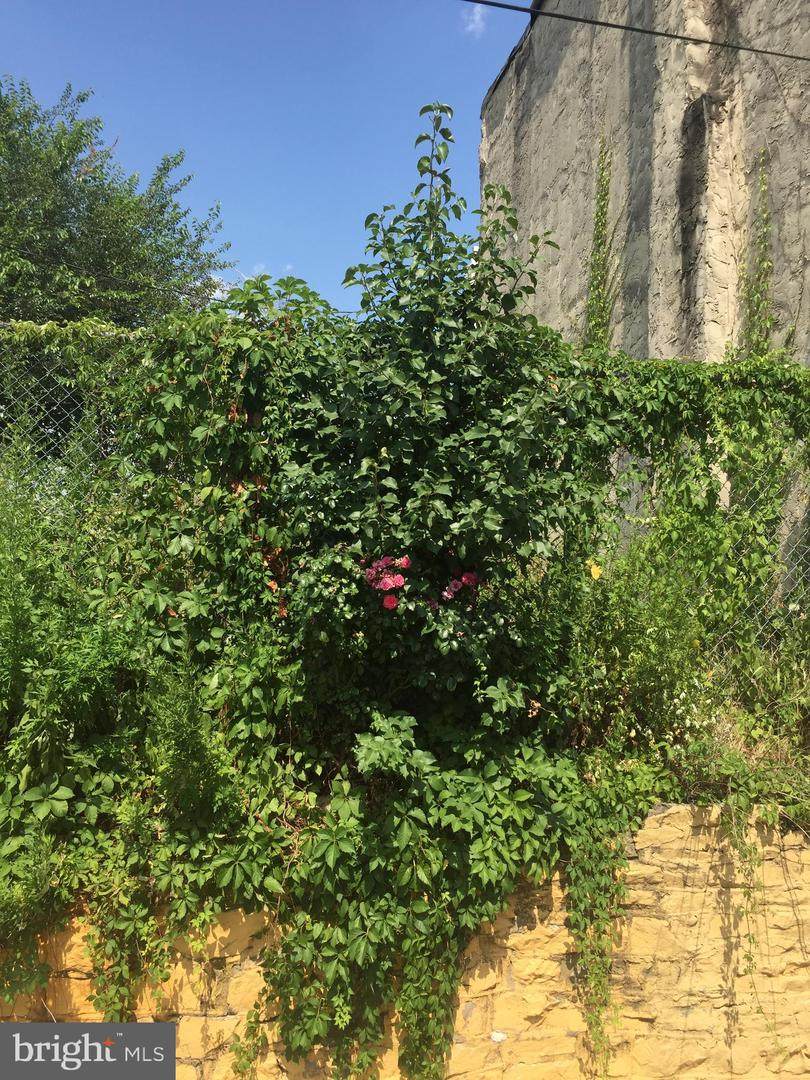 2019 Sterner Street - Photo 1