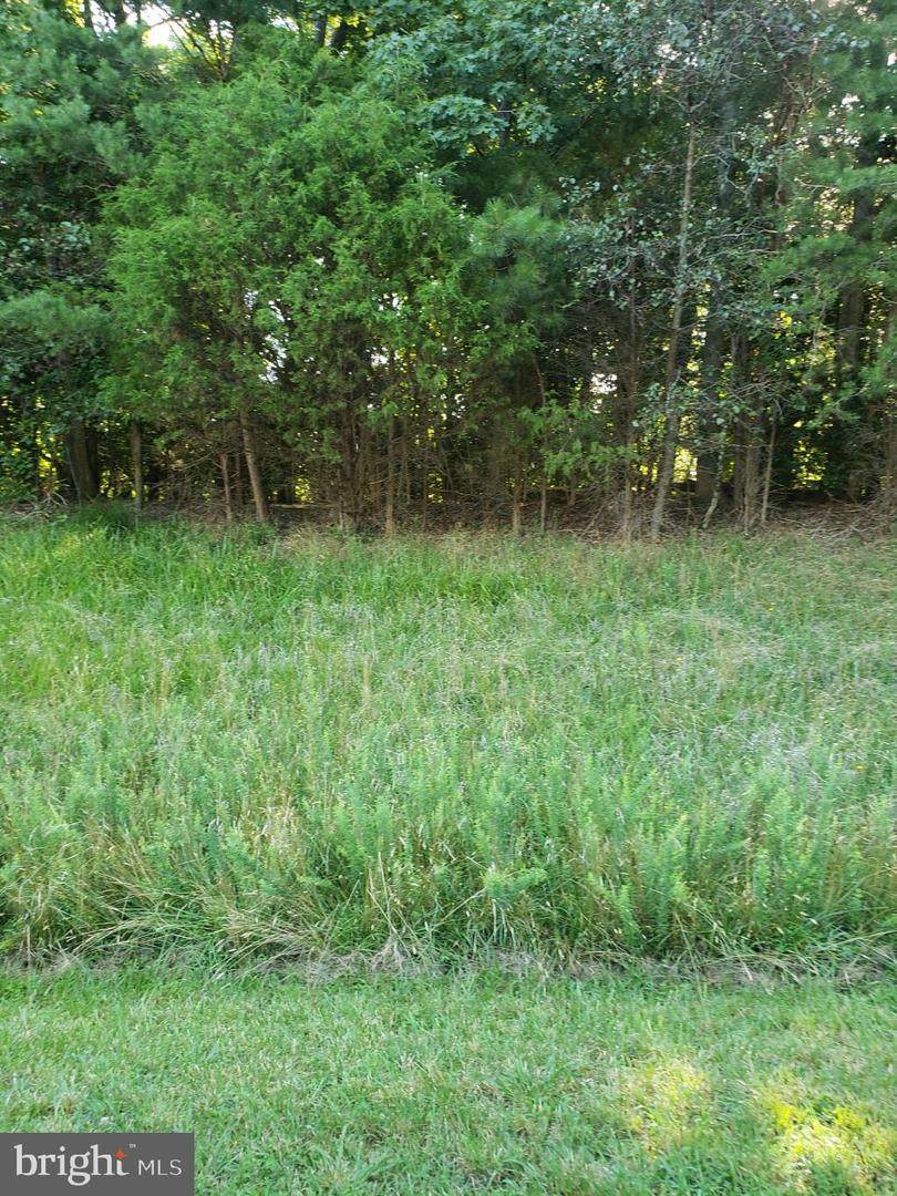 Lot 8 Lake - Photo 1