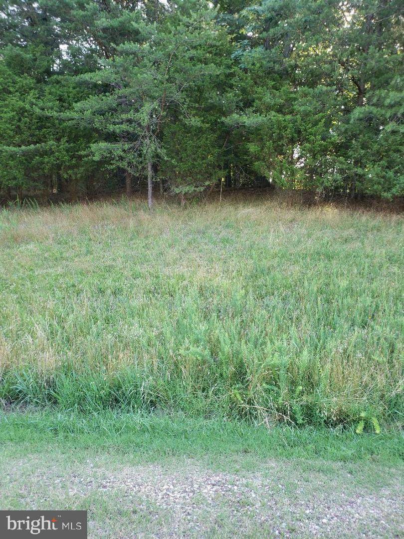 Lot 7 Lake - Photo 1