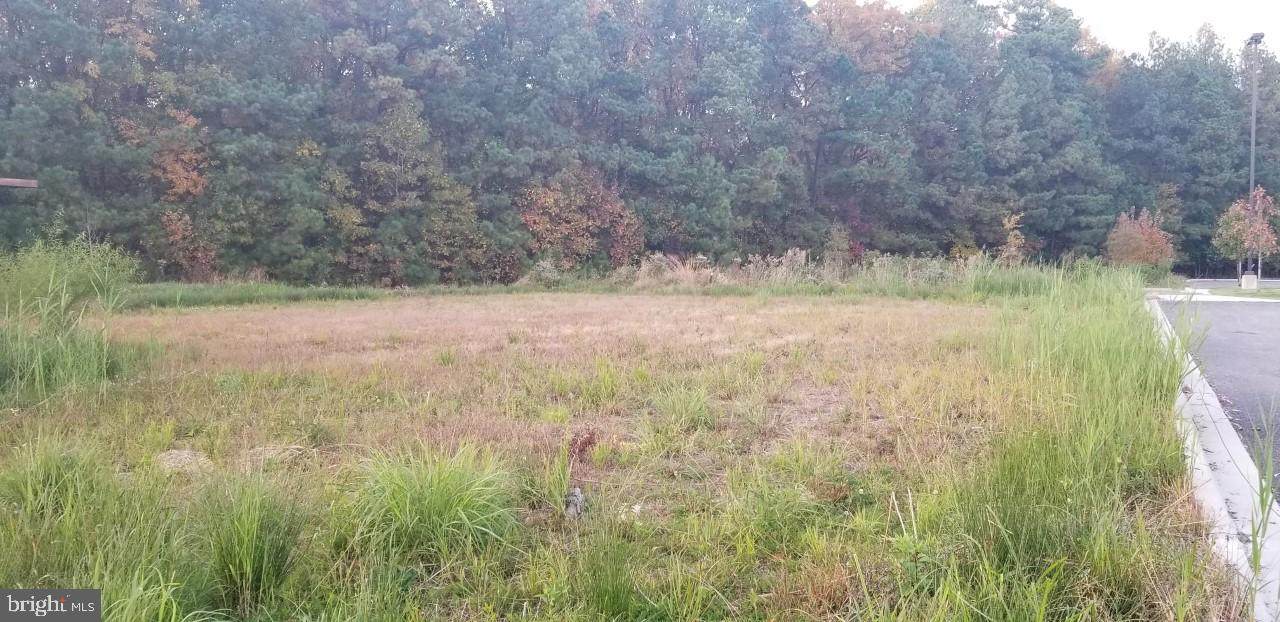 Lot 2 Vfw Ave - Photo 1