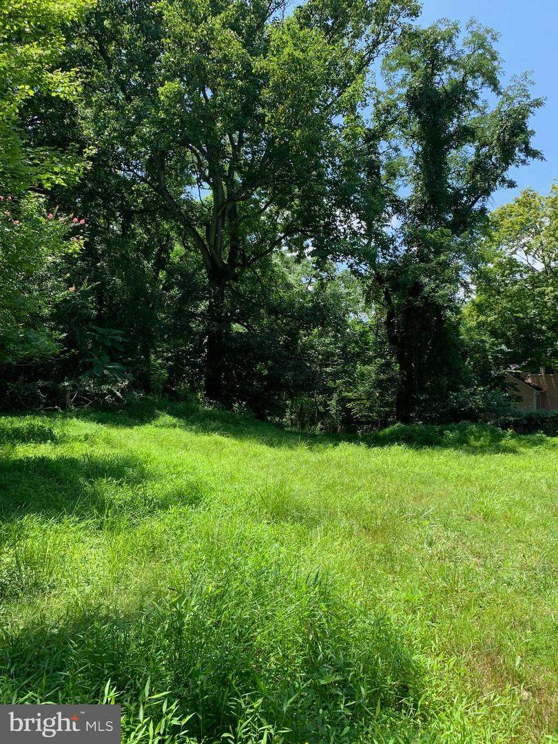 681A Chain Bridge Road - Photo 1