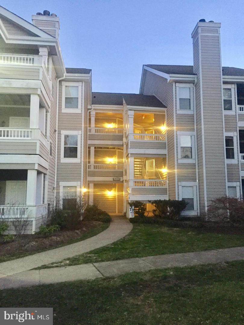 14325 Climbing Rose Way - Photo 1