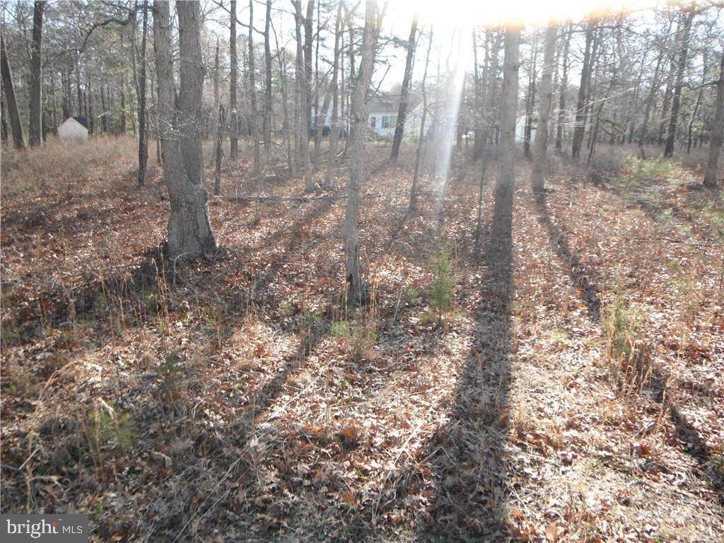 0 Stone Road - Photo 1