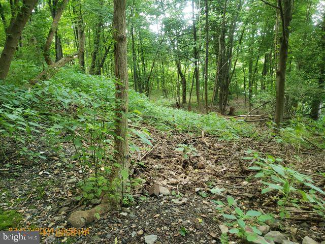 0 Boone Street - Photo 1