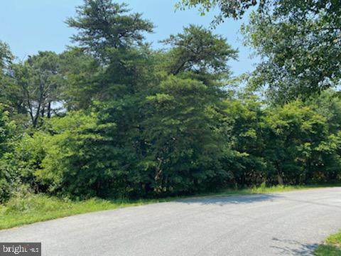 Riverview Acres Lot 10 - Photo 1