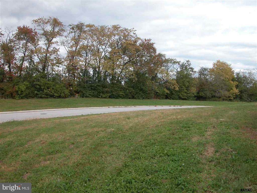 935 Shenandoah Lane - Photo 1