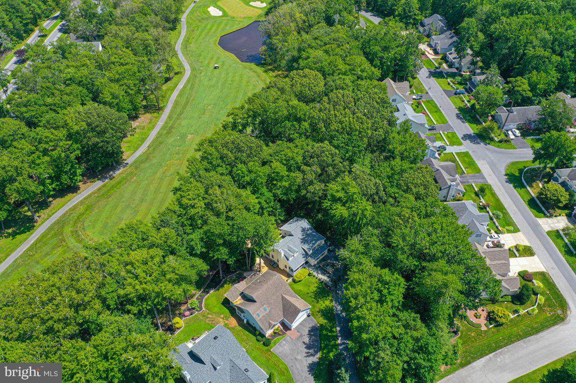 4 Dog Leg Court - Photo 1