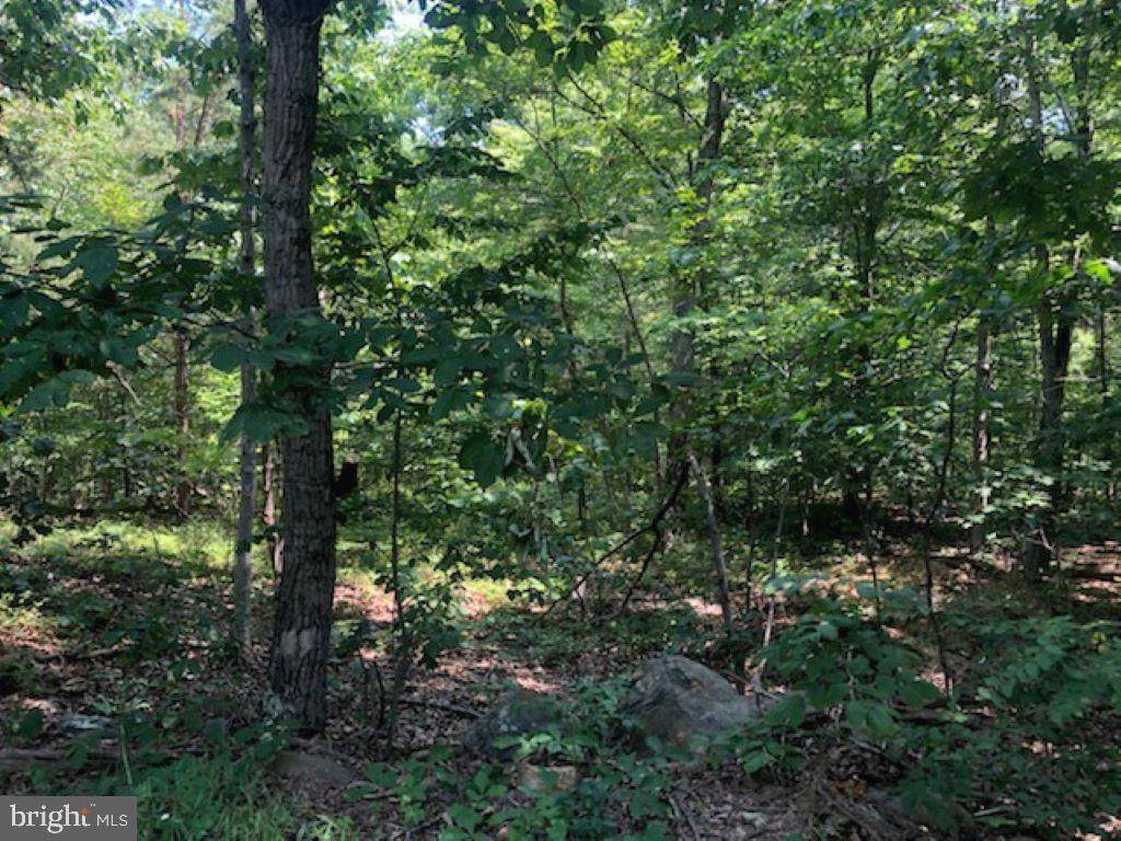Little Place - Photo 1