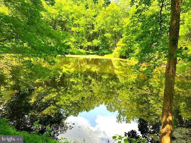 11408 Notchcliff Road - Photo 1
