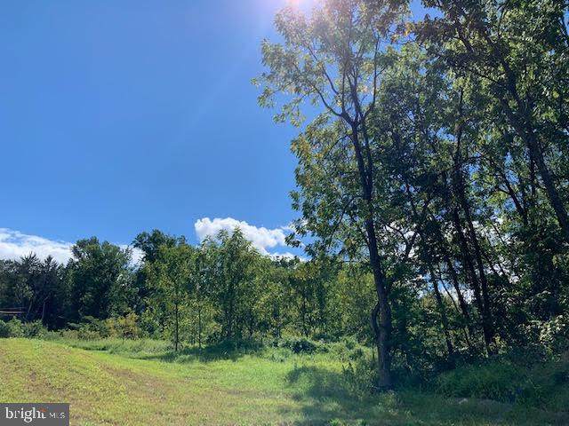 LOT 2 Old Fritztown Road - Photo 1