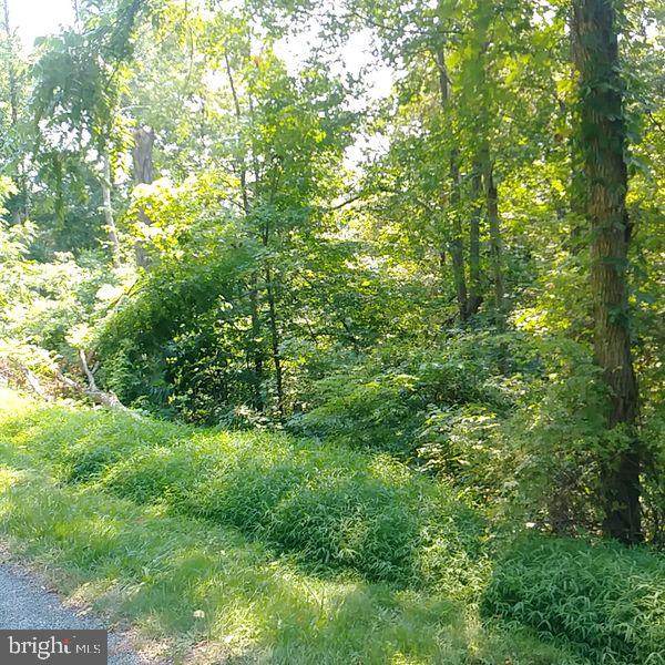 37 Plain View Trail - Photo 1