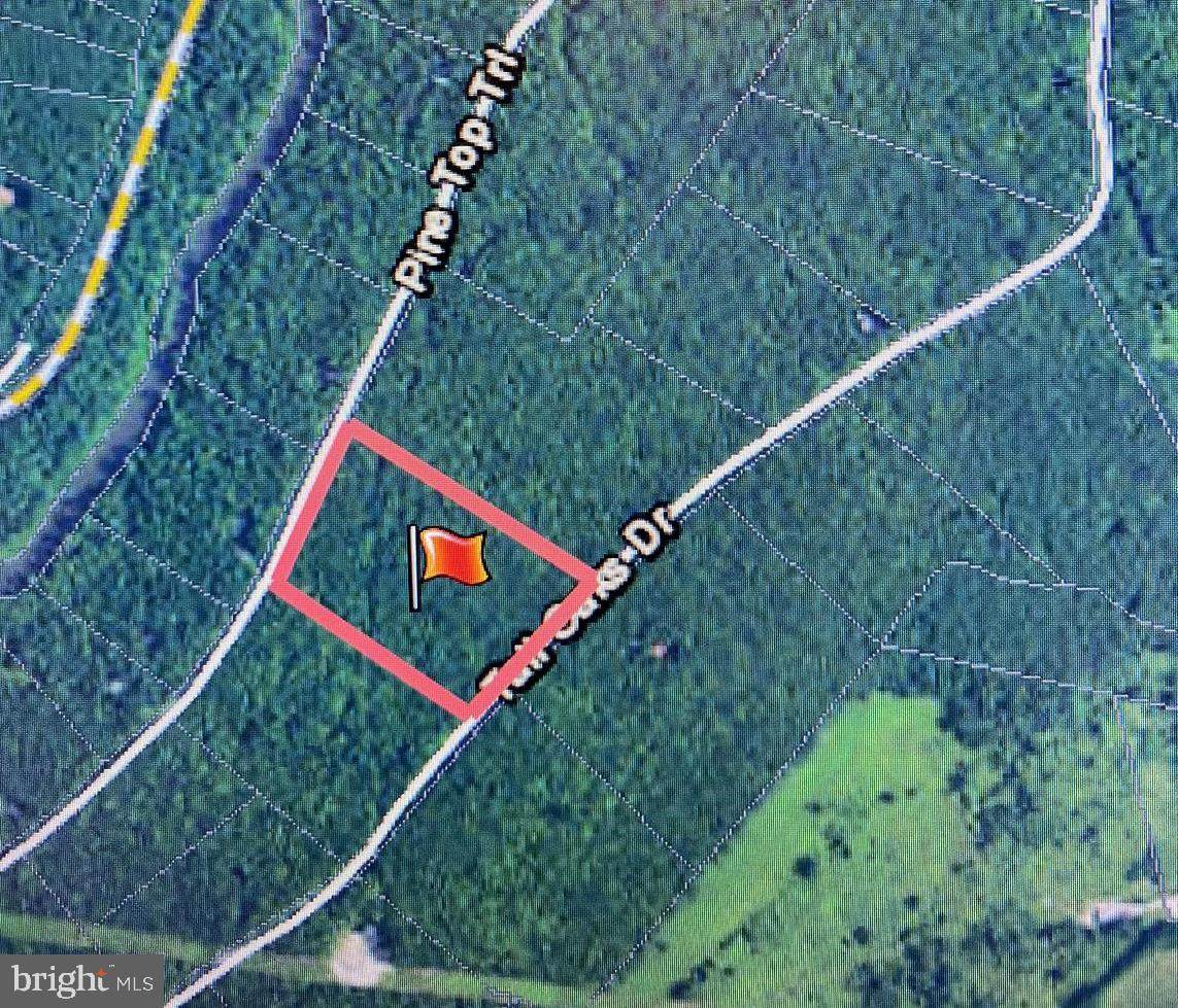 54 Pine Top Trail - Photo 1
