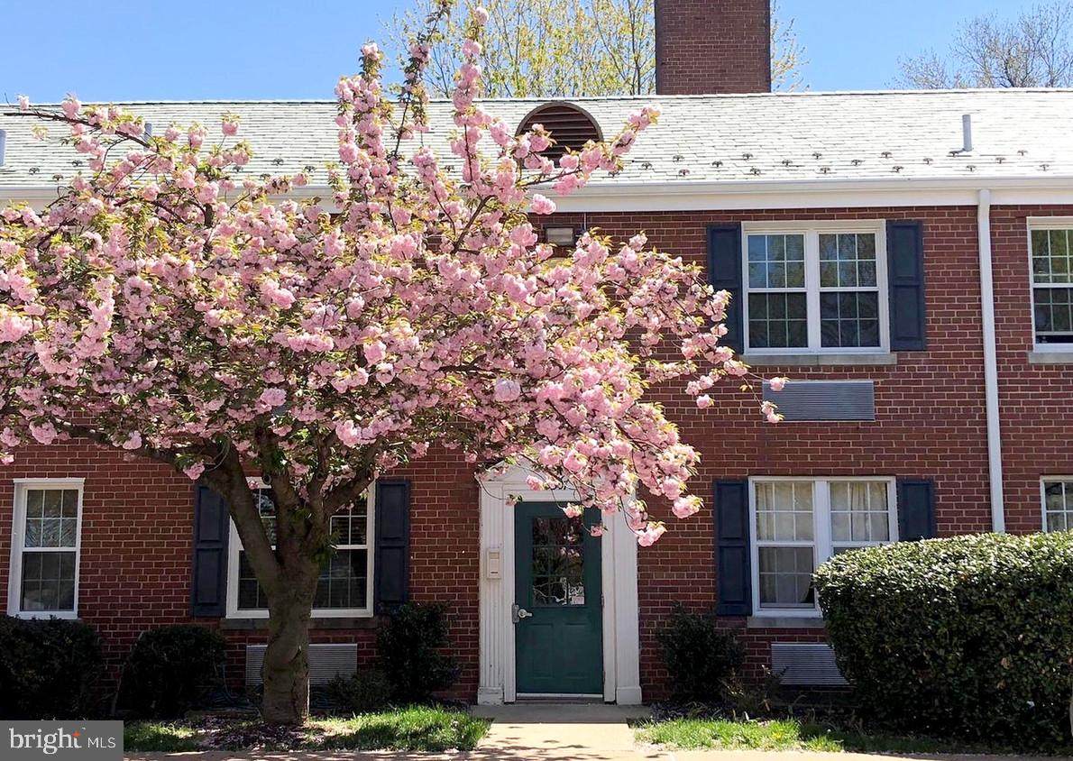 3307 Commonwealth Avenue - Photo 1