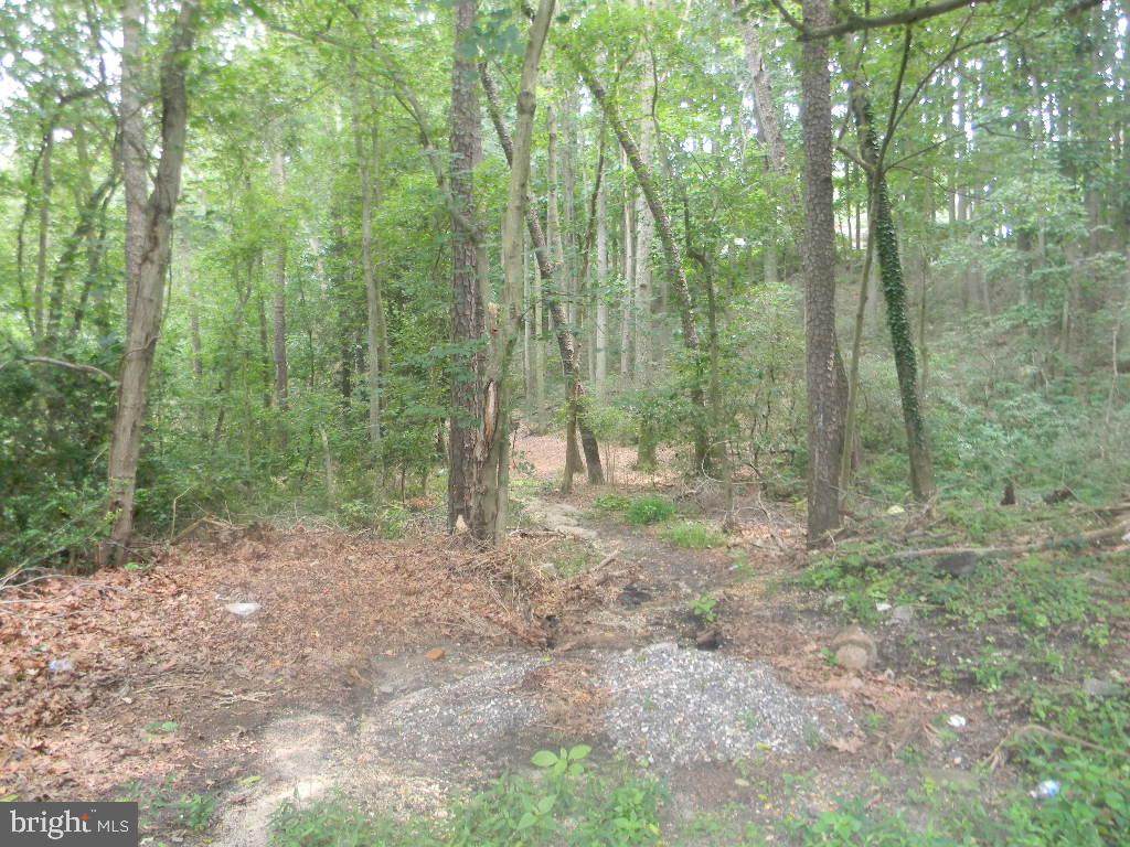 Edgehill Avenue - Photo 1