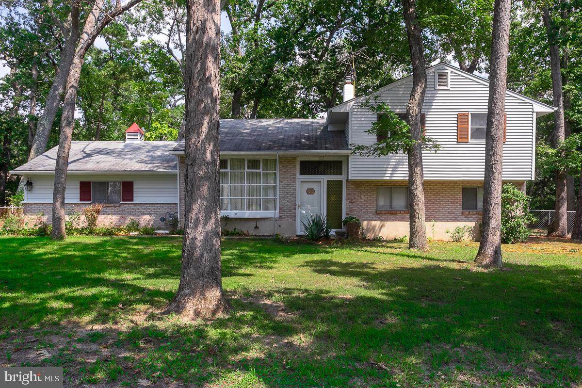 8 Chestnut Avenue - Photo 1