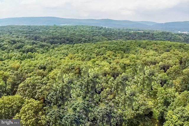 17.3 ACRES Oak Lane - Photo 1