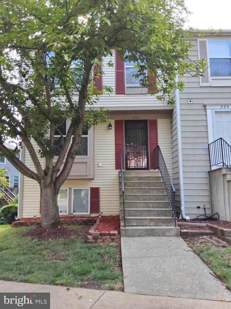 222 Red Jade Drive - Photo 1