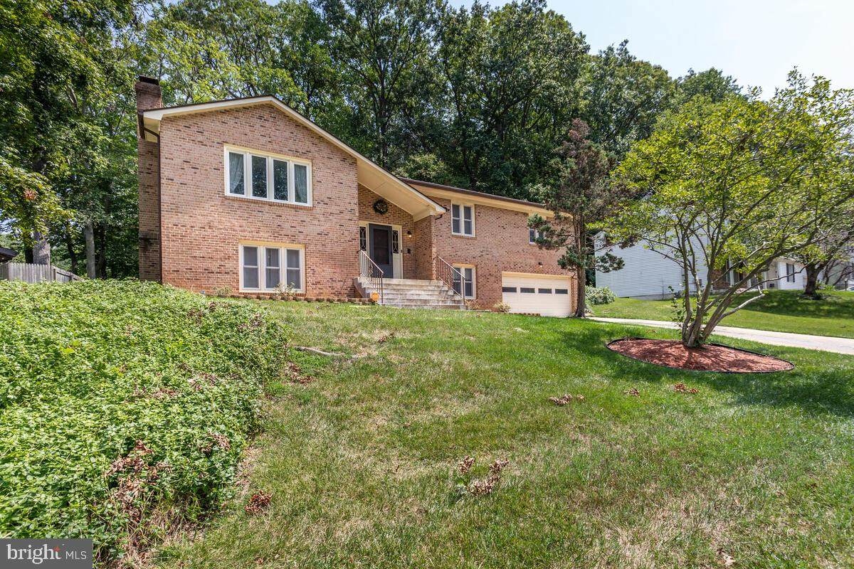13002 Rhame Drive - Photo 1