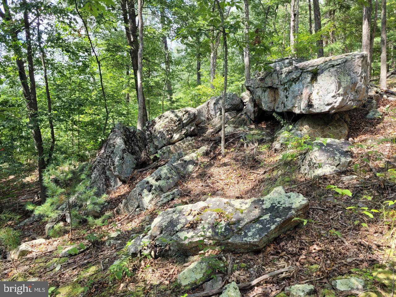 Rt 50/ North River - Photo 1