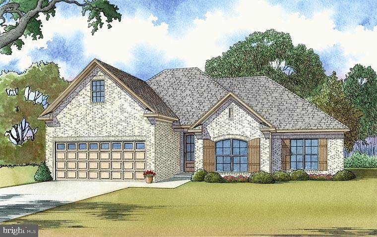 Lot 30 Hickory Cove Road - Photo 1