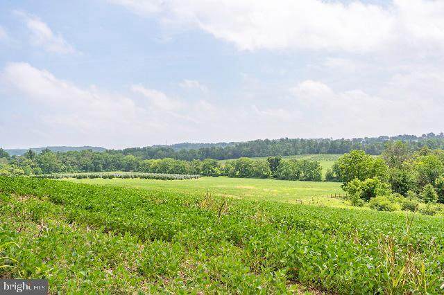 Furnace Hills Pike - Photo 1