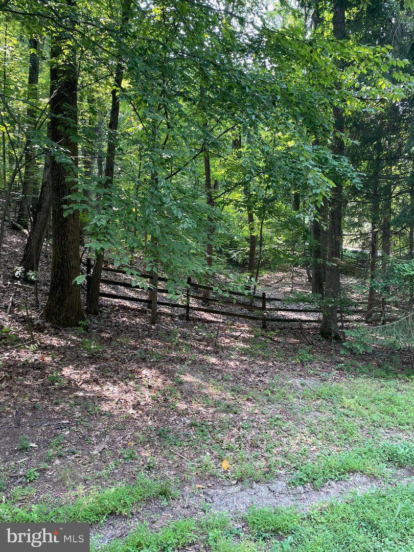 0 Buck Run Road - Photo 1