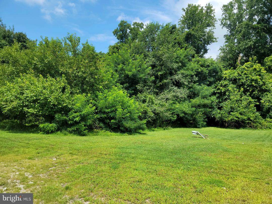 331 Voshells Mill Star Hill Road - Photo 1