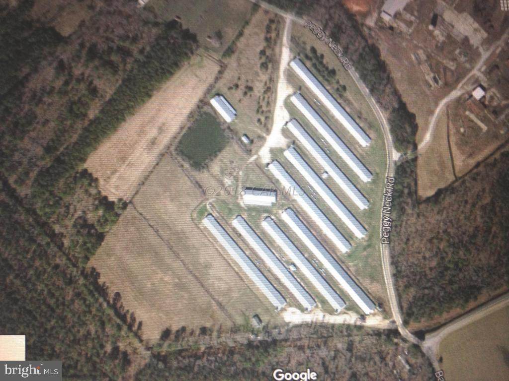 31831 Peggy Neck Road - Photo 1