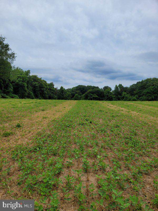 548 Guernsey Road - Photo 1