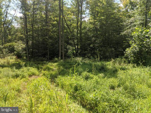 0 Liberty Valley Road - Photo 1