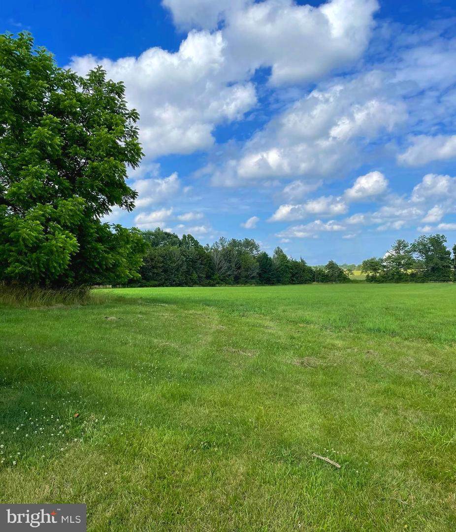 22071 Stones Mill Road - Photo 1