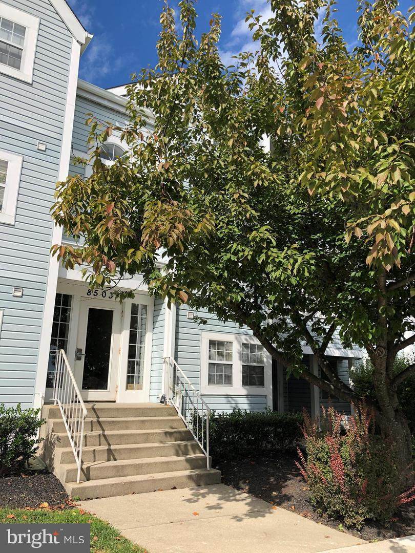 8503 Falls Run Road - Photo 1