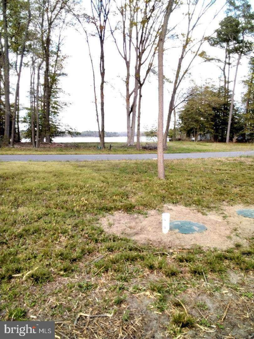 0 Mountain Laurel Drive - Photo 1