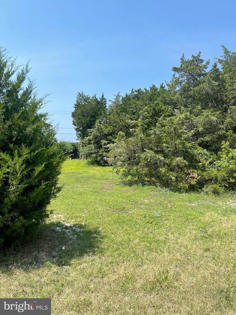 Lot 514 Beach Plum Drive - Photo 1