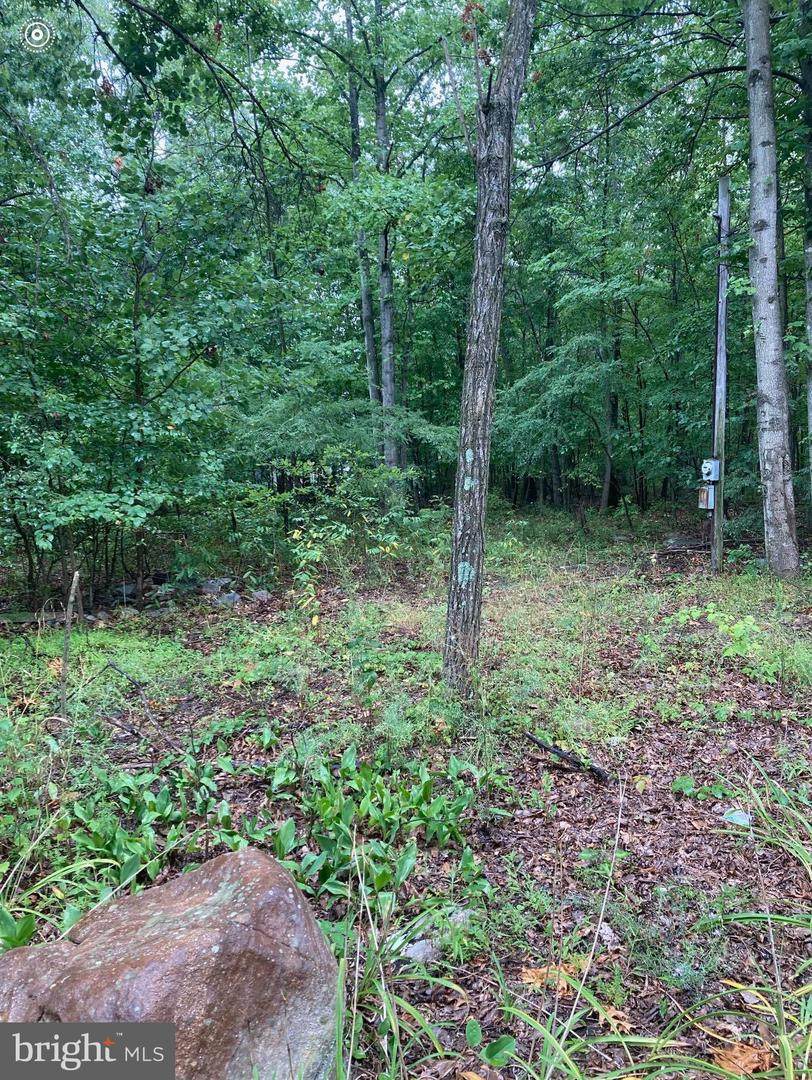 408 Cardinal Drive - Photo 1