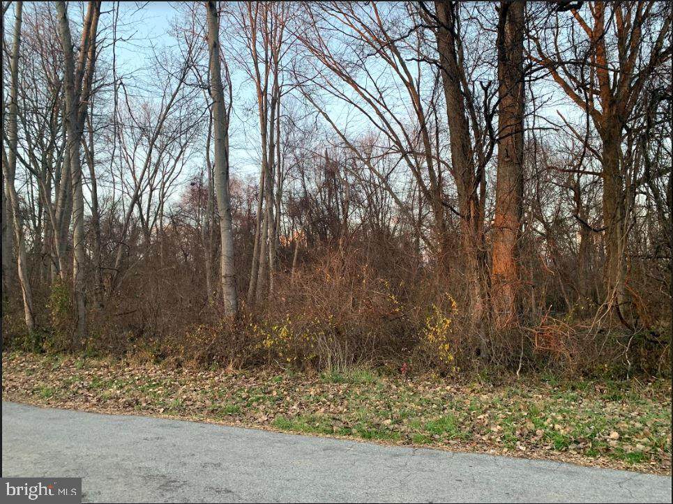 25 Harding Avenue - Photo 1