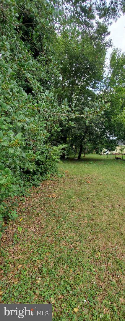 LOT 31A Wilson Avenue - Photo 1